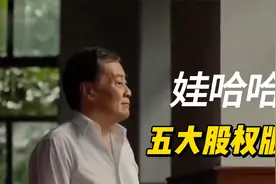 娃哈哈不仅有国资，还有更多的民资，一次性说清娃哈哈股权版图视频封面