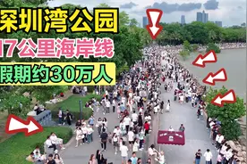 深圳湾公园，出了地铁就能看海，17公里海岸线，假期一天约30万人