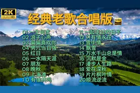 高清20首高音质经典老歌合唱版一次听个够，开车好音乐~