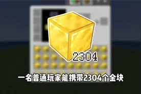 我的世界金块有多重？视频封面