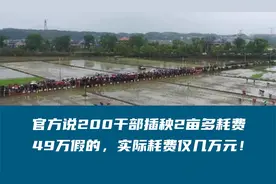 官方说200干部插秧2亩多耗费49万假的，实际耗费仅几万元！视频封面