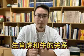 生肖虎和牛之间的关系视频封面