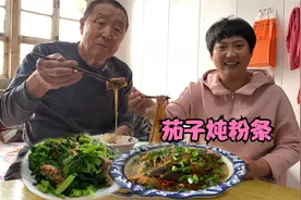 家常菜茄子炖粉条儿做法，香而不腻，开胃下饭，味道顶呱呱视频封面