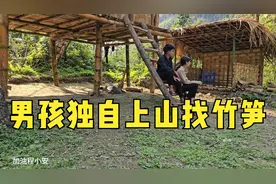 男孩想自己父母，在家忙碌完以后自己上山收获竹笋视频封面