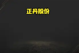 24年第一个十倍股，正丹股份，你抓到了吗？