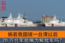 倘若我国统一台湾以后，20万台军如何处置，是否可以编为解放军？