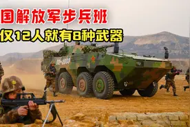 中国解放军步兵班，仅仅12人就有8种武器视频封面