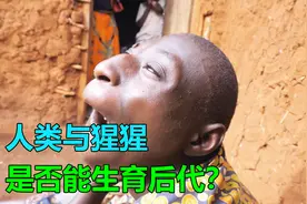 人类跟大猩猩同居，是否能生育后代视频封面