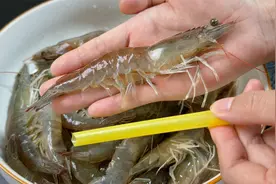 去虾线原来这么简单，老渔民教我一招，用1根吸管就搞定，2秒一个