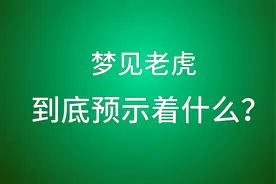 梦见老虎，到底预示着什么？视频封面