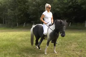 金发安娜女主人骑黑白小矮马，日常马术训练