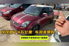 雨燕空间比POLO大，价格比飞度便宜，如果把4AT换成6AT就完美了视频封面