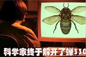 这是真的？科学家终于解开了互联网至今最大的谜团,蝉3301视频封面
