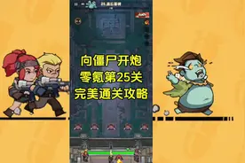 向僵尸开炮第25关完美通关攻略视频封面
