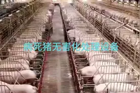 病死猪如何灭菌并实现废物循环利用呢 病死猪无害化处理设备揭秘视频封面