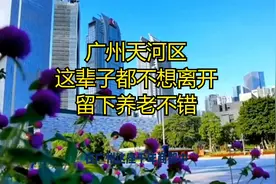 广州天河区，这辈子都不想离开，留下养老不错视频封面