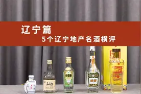 5个辽宁地产名酒横评视频封面