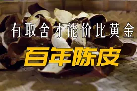 不值一块钱的柑橘，去掉果肉反而能身价倍增，百年陈皮胜黄金视频封面