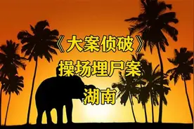 大案纪实-经典案件之操场埋S案全过程