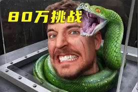 男人的身上爬满1000只蜘蛛，过完6关就能获得500万视频封面