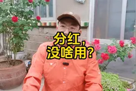 分红后，股价降低了，总资产又没啥增长，这样有啥意义？
