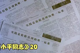 鸭子养三只是社会主义，养四只是资本主义？关于真理问题的讨论！视频封面