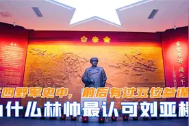 在四野军史中，前后有过五位参谋长，为何林帅最认可刘亚楼视频封面
