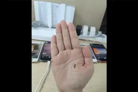 手相看子女运势视频封面