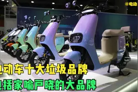 网传十大“垃圾”电动车排行，不乏台铃、绿源一线品牌，你赞同吗视频封面