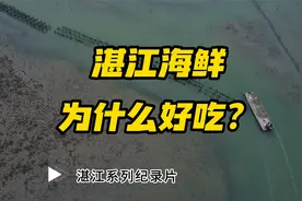 湛江海鲜为什么好吃视频封面