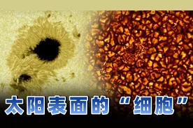 人类探测器第一次触碰到太阳 发现太阳表面竟然有一层"细胞"结构视频封面