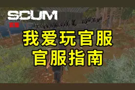 我爱玩官服，官服指南，scum人渣