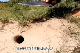 老表制作陷阱抓毒蛇.mp4