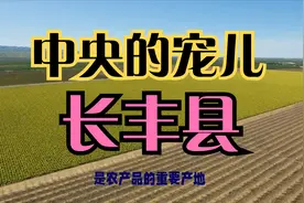 百强县之安徽长丰县——中央的宠儿视频封面