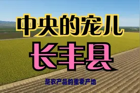 百强县之安徽长丰县——中央的宠儿视频封面