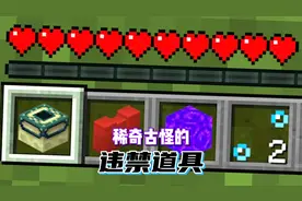 我的世界：肝帝收集稀奇古怪的违禁物品