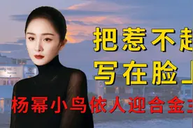 明星把惹不起写在脸上，杨幂小鸟依人迎合金主，刘德华讨好张艺谋视频封面
