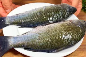 饭店做的鲫鱼汤为啥那么好喝？教你正确做法，汤鲜浓白无腥味视频封面