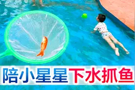 陪宝宝下水抓鱼，钓鱼界的新手保护期不是随便说说，一整个大丰收视频封面