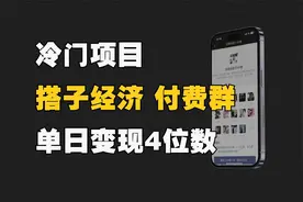 搭子经济小项目拆解，有人靠这个冷门的小项目每天变现4位数。视频封面