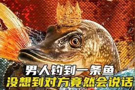 男人钓到一条会说话的鱼，从此走向人生巅峰。仙女鱼的心愿。视频封面