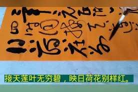 接天莲叶无穷碧，映日荷花别样红。杨万里名诗，大草书法创作欣赏