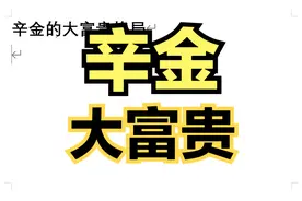 辛金的大富贵格局视频封面