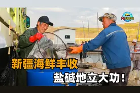 我国沙漠海鲜大丰收，出口到新加坡多国！能否彻底摆脱海外进口？视频封面