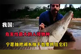 我国危害性最大的六种入侵物种，不仅繁殖能力强，还可能要人命