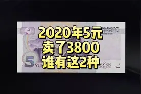 卖了3800！2020年5元纸币，谁有这2种？视频封面