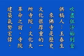 吹尽狂沙始到金视频封面
