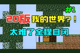 2D平面版我的世界#1，我被一直猪吓到大哭，笑到哭~