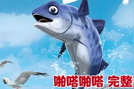 以鱼的视角看世界视频封面