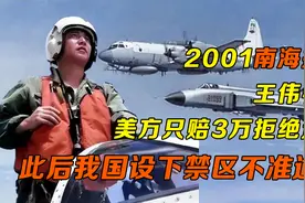 2001南海撞机王伟牺牲，美方只赔3万拒道歉，我国强硬拆解美军机视频封面